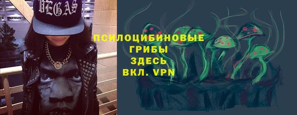 ECSTASY Богородицк