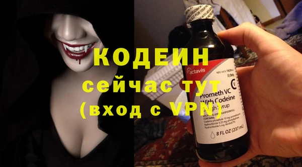 ECSTASY Богородицк