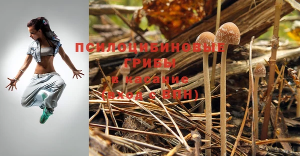 spice Семёнов