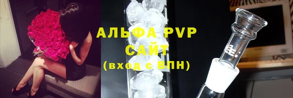 ECSTASY Богородицк