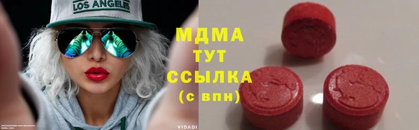 мдпв Бородино