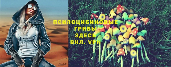ECSTASY Богородицк