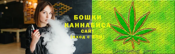 ECSTASY Богородицк