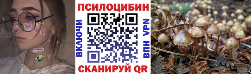 продажа наркотиков  Судак  Галлюциногенные грибы Psilocybine cubensis 